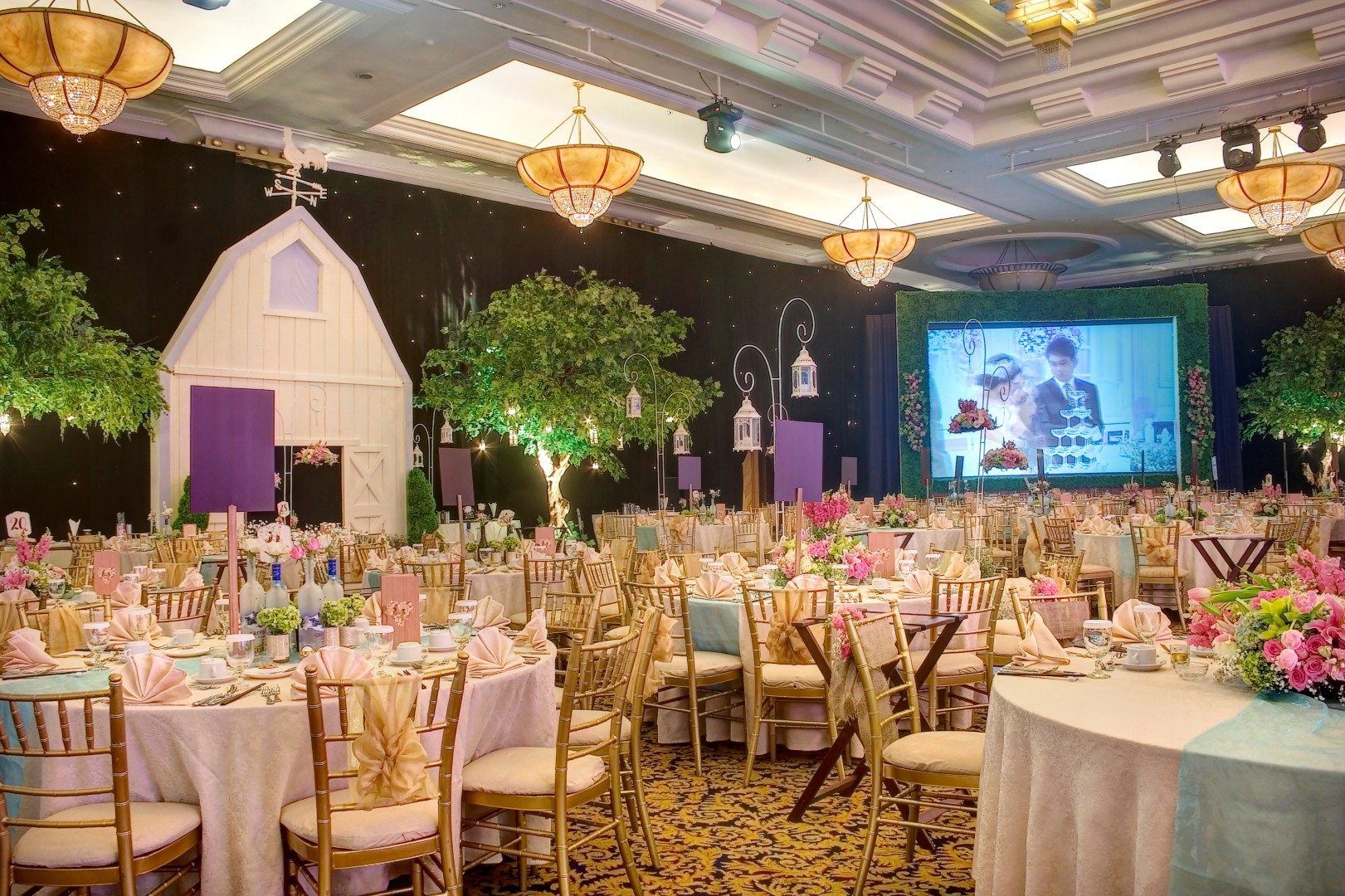 Photo for wedding royal tulip