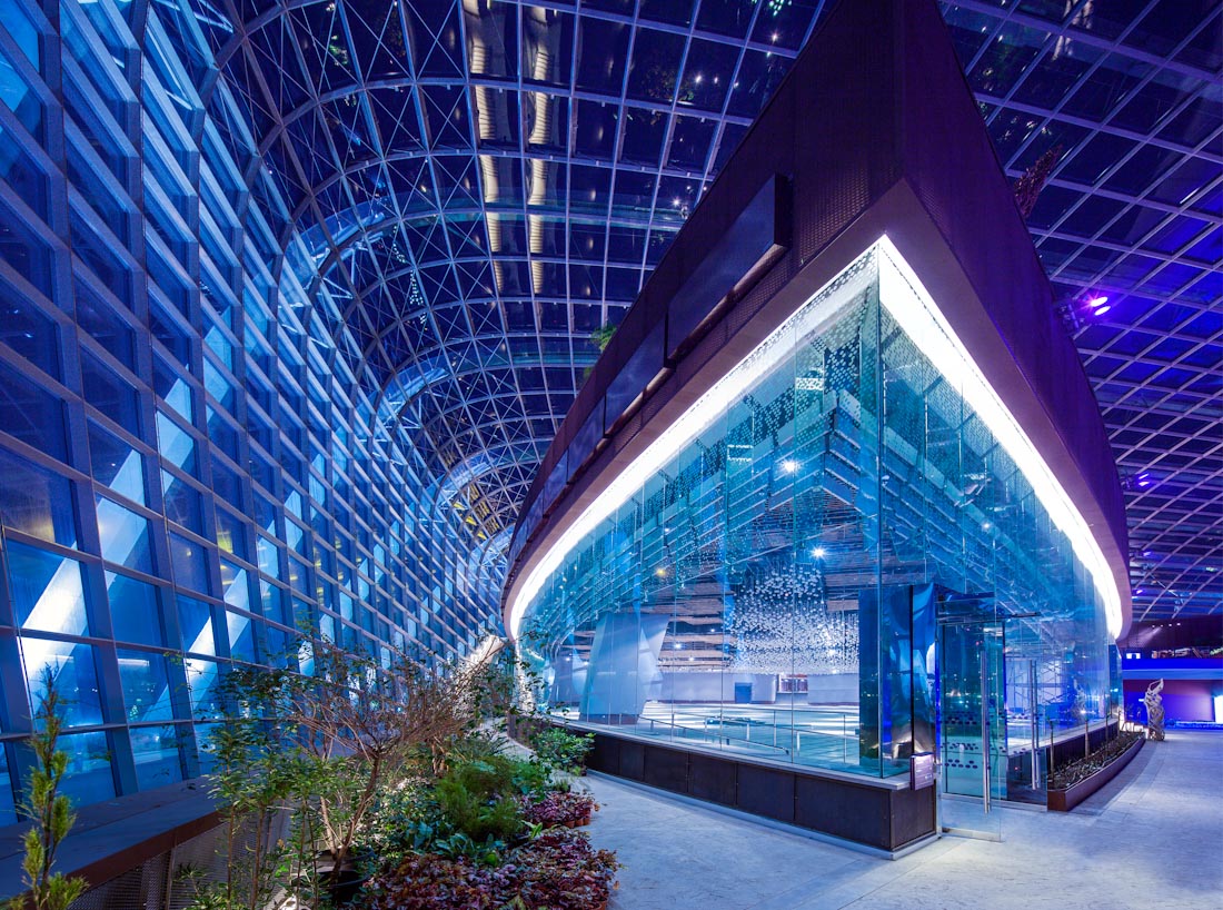 Garden By The Bay Flower Field Hall gardensthe bay | wedding venue in singapore | bridestory Garden By The Bay Flower Field Hall gardensthe bay | wedding venue in singapore | bridestory