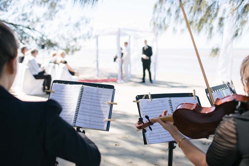 Orchid Quartet Wedding Entertainment (Music) in Cairns