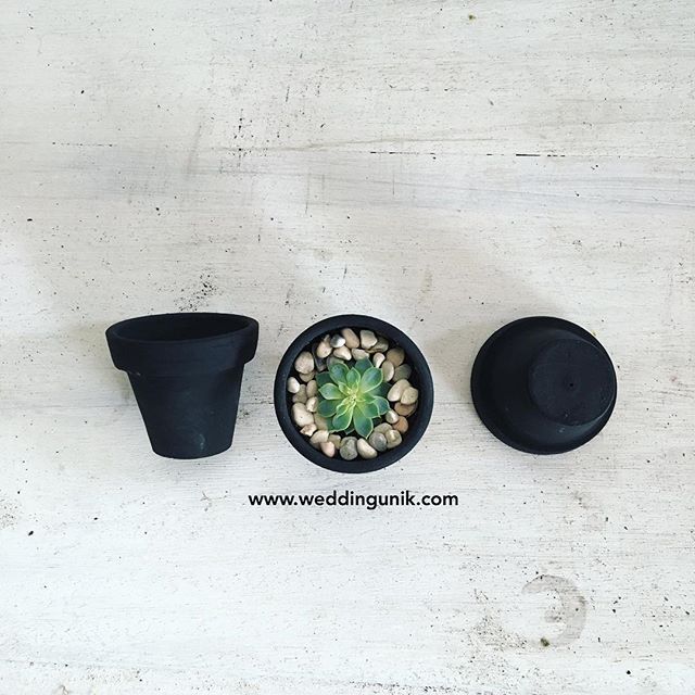 Mini terracotta pot WeddingUnik Bridestory