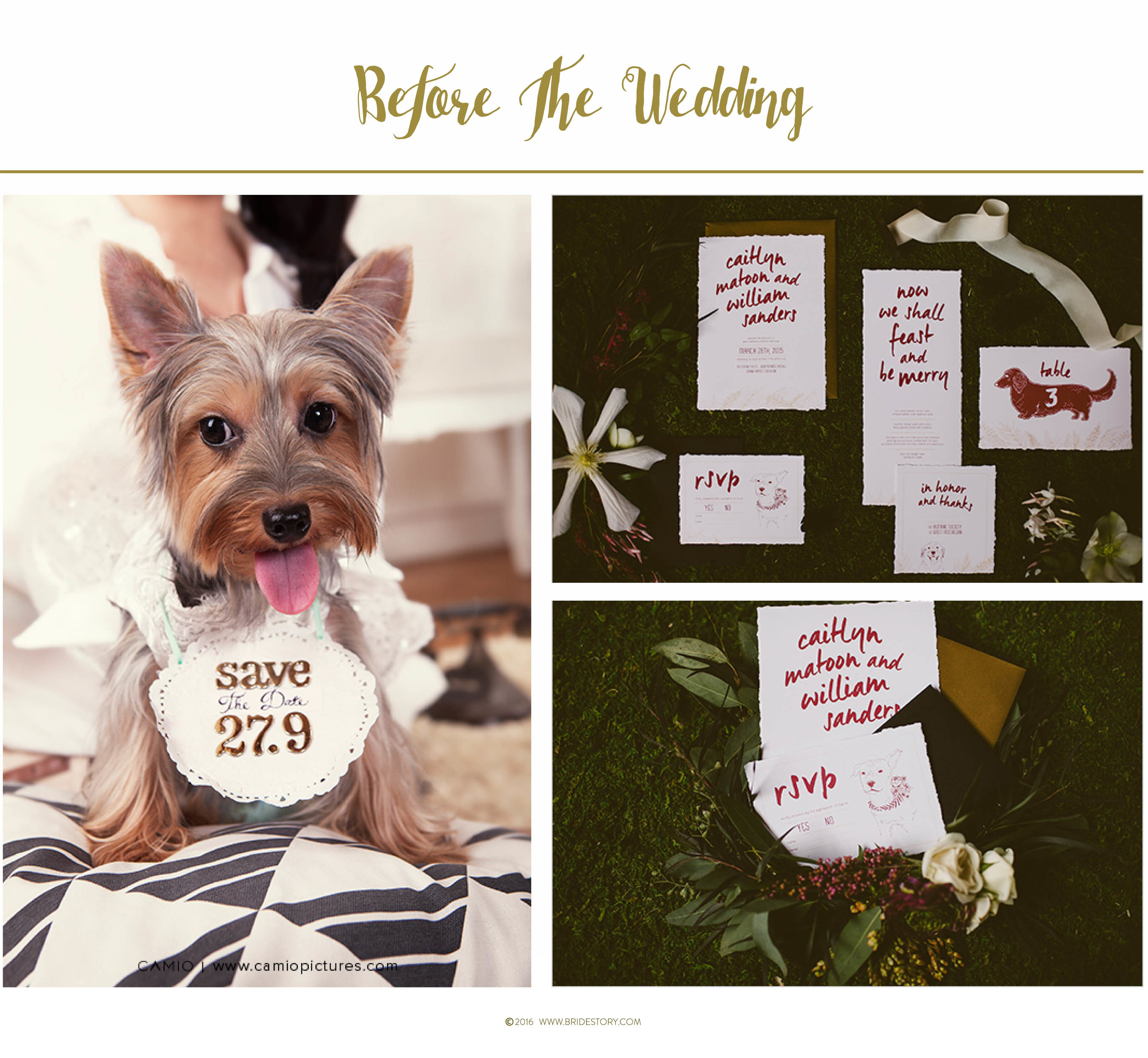 How to Involve Pets in Your Wedding Image 1