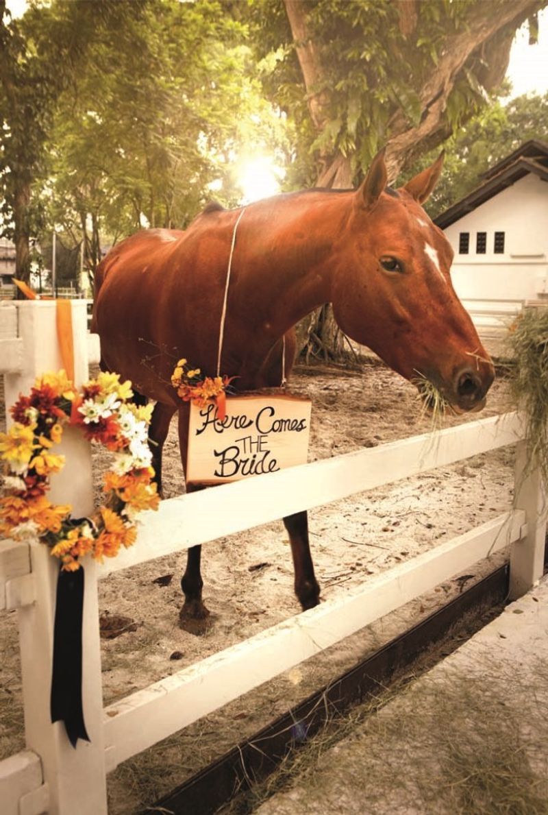 styled-shoot-an-equestrian-chic-polo-themed-party-for-horse-lovers-1