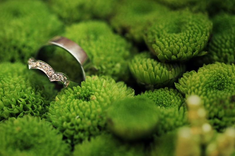 charming-garden-themed-wedding-with-traditional-flair-1